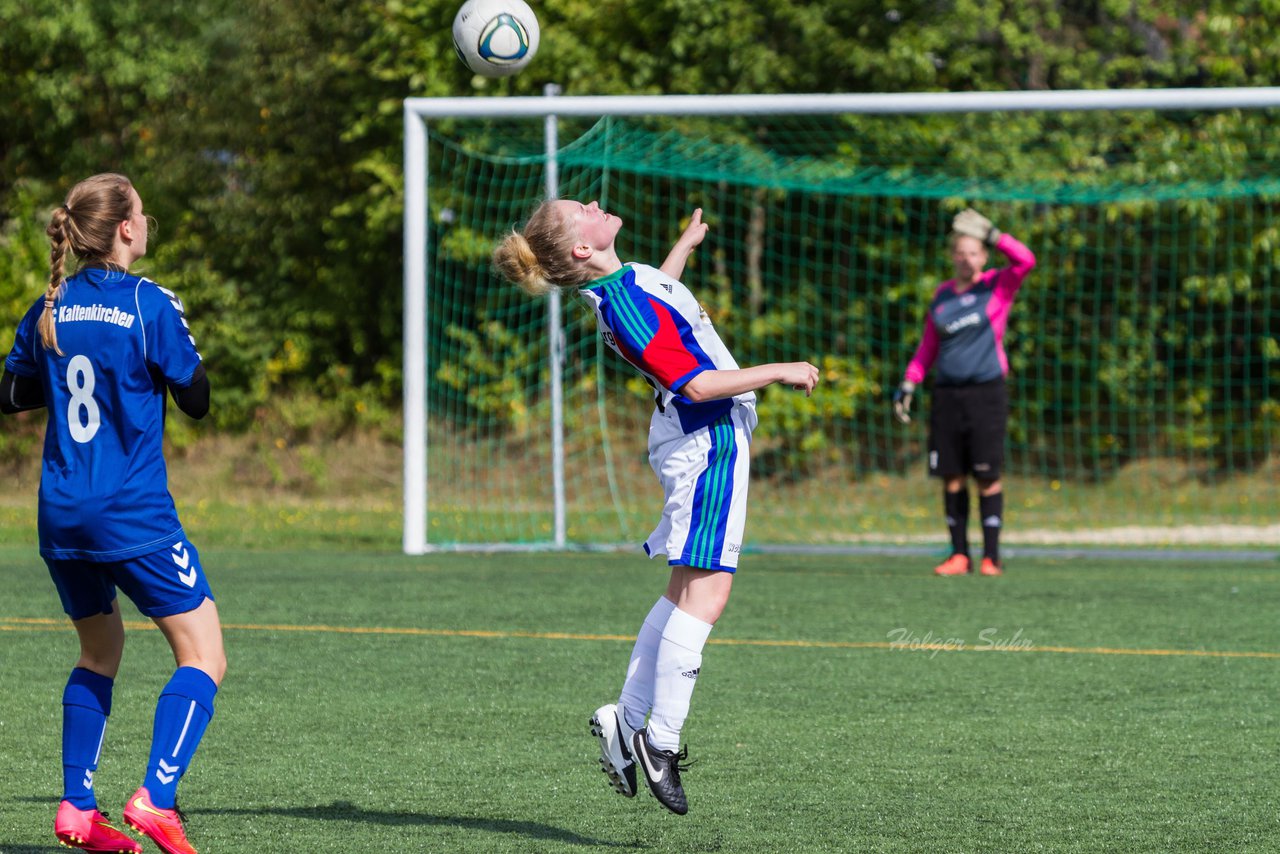 Bild 233 - B-Juniorinnen SV Henstedt Ulzburg - FSC Kaltenkirchen : Ergebnis: 3:2